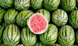 必吃大瓜今日大瓜,今日热门话题大盘点